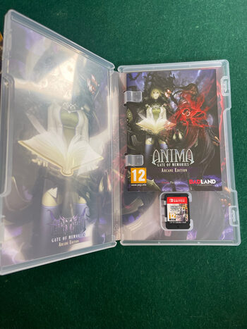 Get Anima: Gate of Memories - Arcane Edition Nintendo Switch