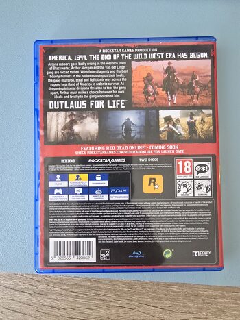 Buy Red Dead Redemption 2 PlayStation 4