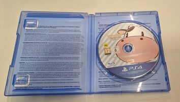 STORY OF SEASONS: Friends of Mineral Town PlayStation 4 for sale