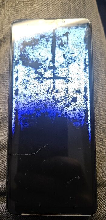 Sony XQ-CC54 Xperia 10 IV sudužęs ekranas
