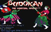 Buy Budokan: The Martial Spirit (1991) SEGA Mega Drive