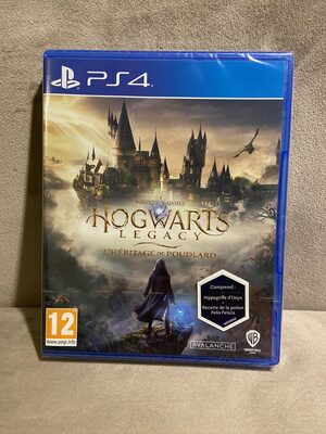 Hogwarts Legacy PlayStation 4