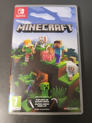 Minecraft Nintendo Switch