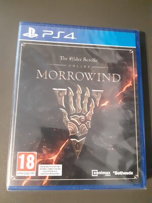 The Elder Scrolls Online: Morrowind PlayStation 4