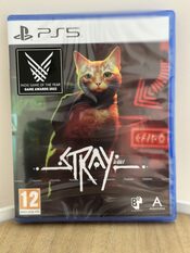 Stray (2022) PlayStation 5