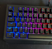 Buy Razer Blackwidow TE