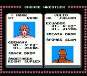 Tecmo World Wrestling NES for sale