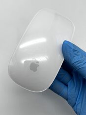Buy Apple Magic Mouse A3204 (2024) Wireless Belaidė Pelė