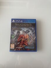 Shadows: Awakening PlayStation 4