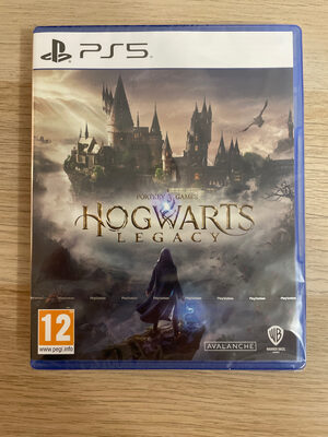 Hogwarts Legacy PlayStation 5