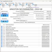 Kingston KC2500 250 GB NVME Storage