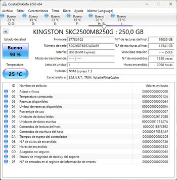 Kingston KC2500 250 GB NVME Storage