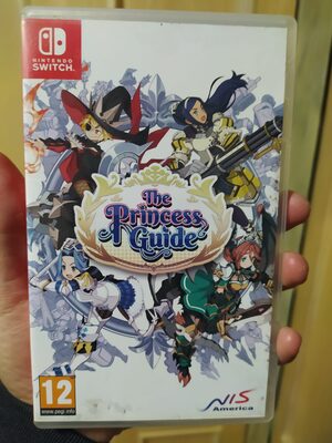 The Princess Guide Nintendo Switch