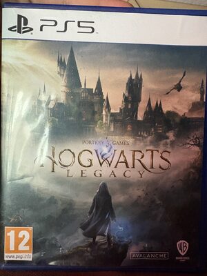 Hogwarts Legacy PlayStation 5