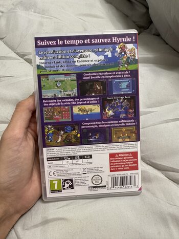 Cadence of Hyrule Nintendo Switch