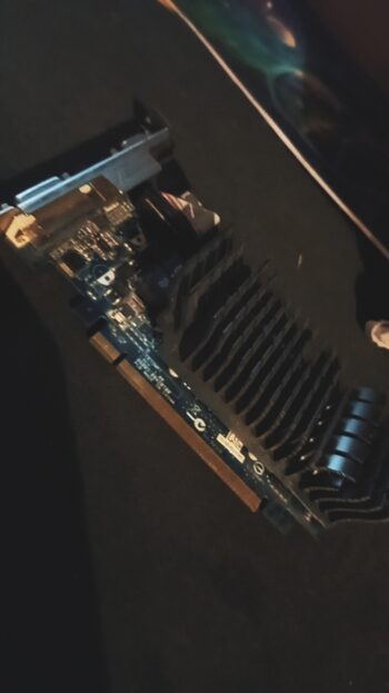 Asus GeForce 210 0 GB 589 Mhz PCIe x16 GPU