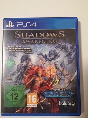 Shadows: Awakening PlayStation 4