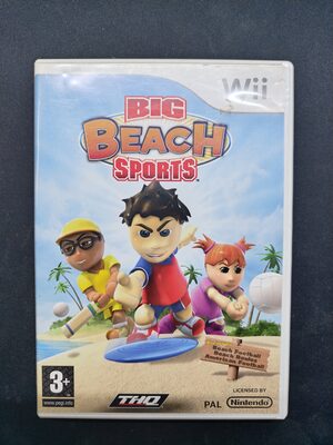 Big Beach Sports Wii