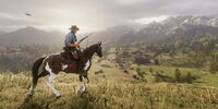 Red Dead Redemption 2 Rockstar Games Launcher Key LATAM