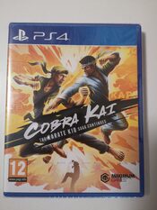 Cobra Kai: The Karate Kid Saga Continues PlayStation 4