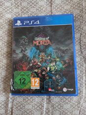 Children of Morta PlayStation 4