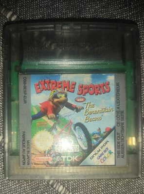 Extreme Sports with the Berenstain Bears Game Boy Color