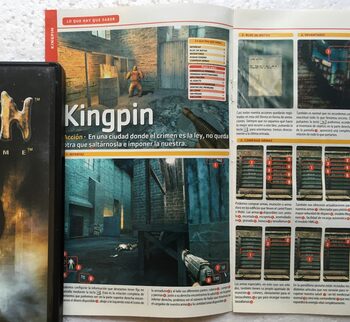 KINGPIN: LIFE OF CRIME - PC for sale