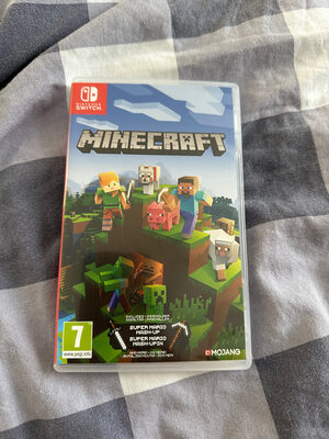 Minecraft Nintendo Switch