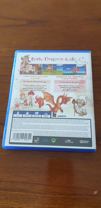 Little Dragons Café PlayStation 4