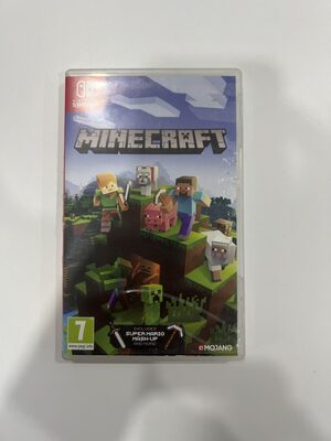 Minecraft Nintendo Switch