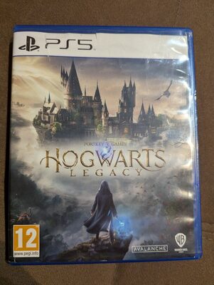 Hogwarts Legacy PlayStation 5