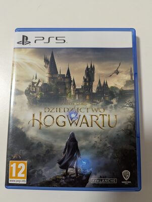 Hogwarts Legacy PlayStation 5
