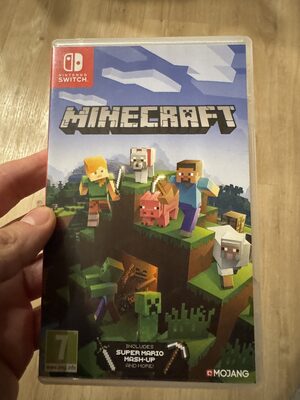 Minecraft Nintendo Switch