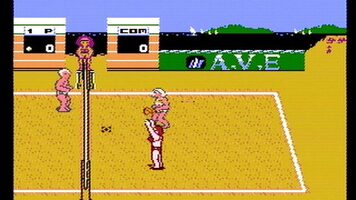 Venice Beach Volleyball NES for sale