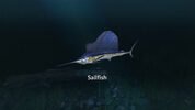Ultimate Fishing Simulator - New Fish Species (DLC) (PC)  Steam Key GLOBAL