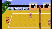 Buy Venice Beach Volleyball NES