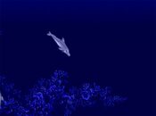 Ecco the Dolphin SEGA Mega Drive