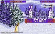 Redeem Winter Olympics Game Boy