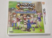 Harvest Moon: Skytree Village Nintendo 3DS