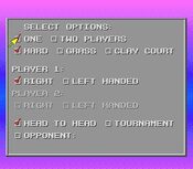 David Crane's Amazing Tennis SNES