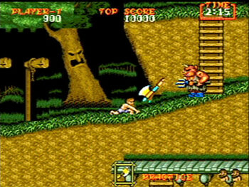 Get Ghouls'n Ghosts SEGA Mega Drive