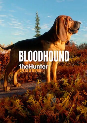 theHunter: Call of the Wild - Bloodhound (DLC) (PC) Steam Key EUROPE