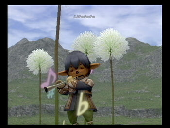 Final Fantasy XI Online Xbox 360