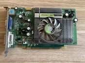 Point of View GeForce 8500 GT 256MB