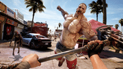Redeem Dead Island 2 Deluxe Edition (PC) Steam Key GERMANY