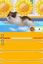 Petz Hamsterz Superstarz Nintendo DS