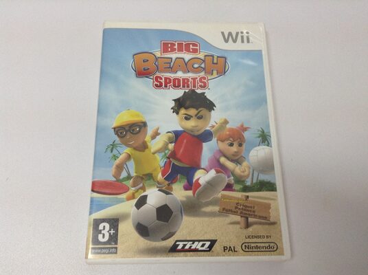 Big Beach Sports Wii