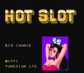 Hot Slots NES