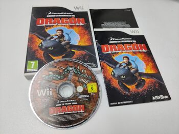 Buy How to Train Your Dragon Wii