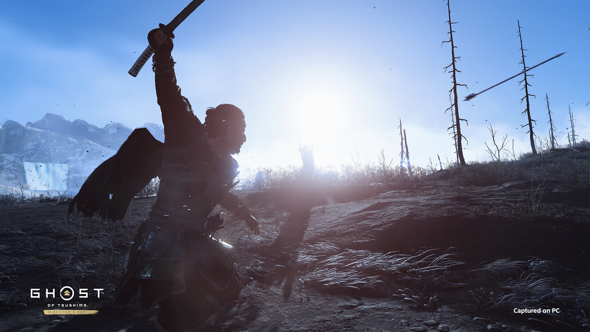 Buy Ghost of Tsushima DIRECTOR S CUT PC Steam key Cheap price